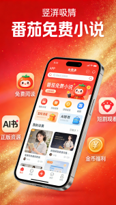 海外看番茄免费小说地域限制怎么破？